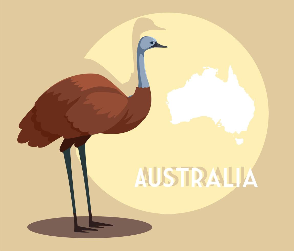 emu med karta över Australien i bakgrunden vektor