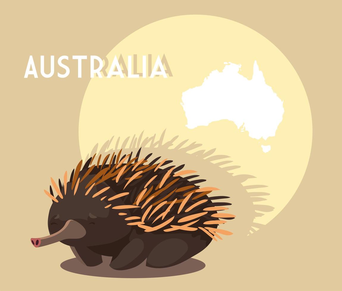 echidna med karta över Australien i bakgrunden vektor