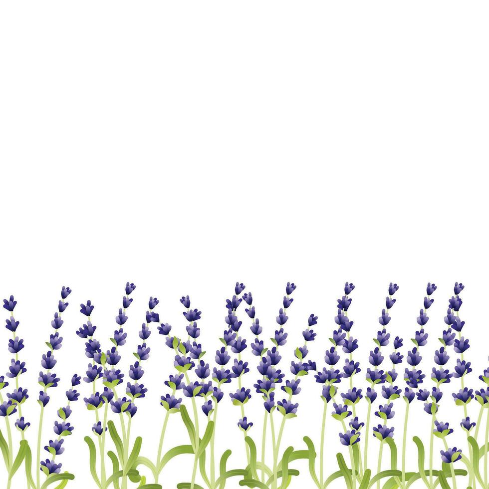 blommig ram med lila lavendel- blommor vektor