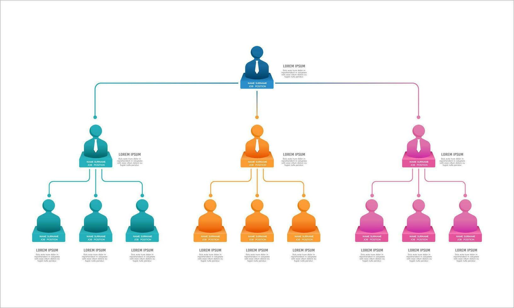 Geschäft Organisation Diagramm zeigt an das Namen und Positionen innerhalb das Organisation. Vektor Illustration.
