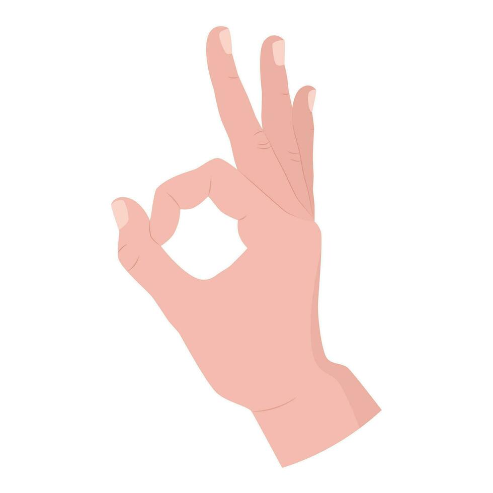 ok. hand gest. symbol ok. illustration på en vit bakgrund. vektor. vektor