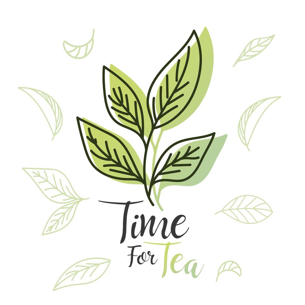 Zeit für Tee mit Blättern-Vektor-Design vektor