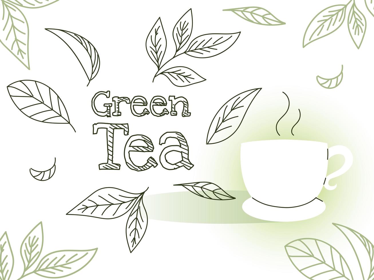 grüner Tee mit Tasse und Blättern-Vektor-Design vektor