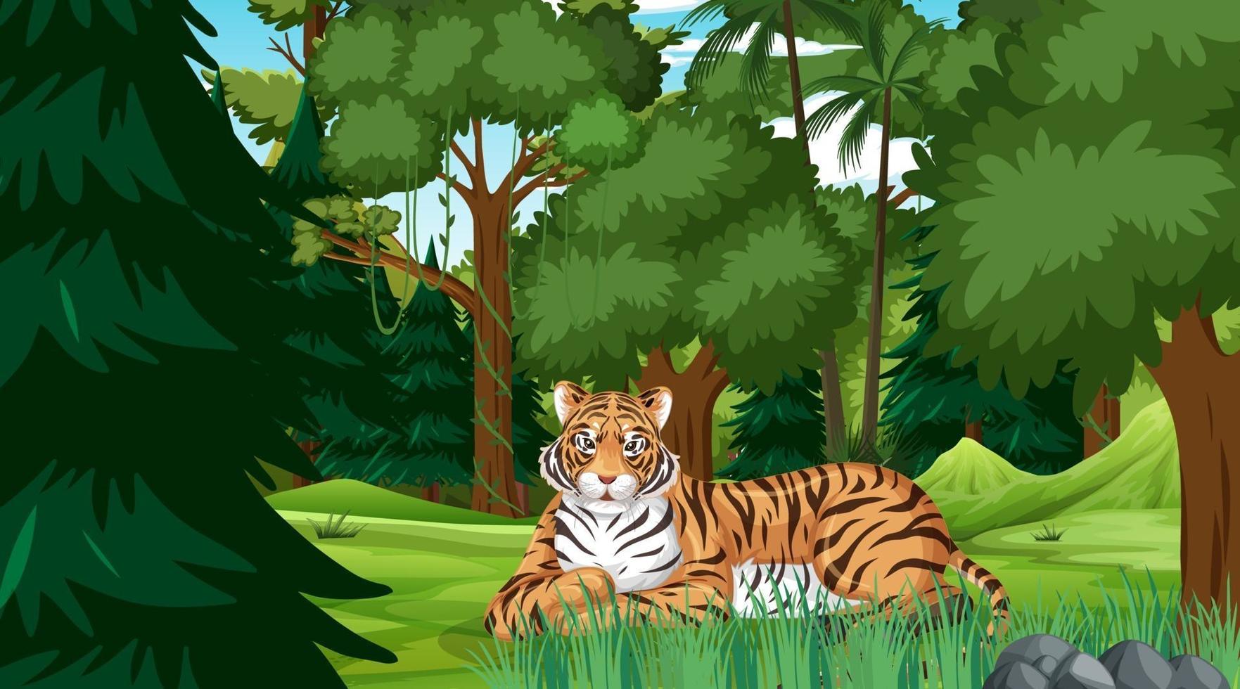 ein Tiger in der Wald- oder Regenwaldszene mit vielen Bäumen vektor