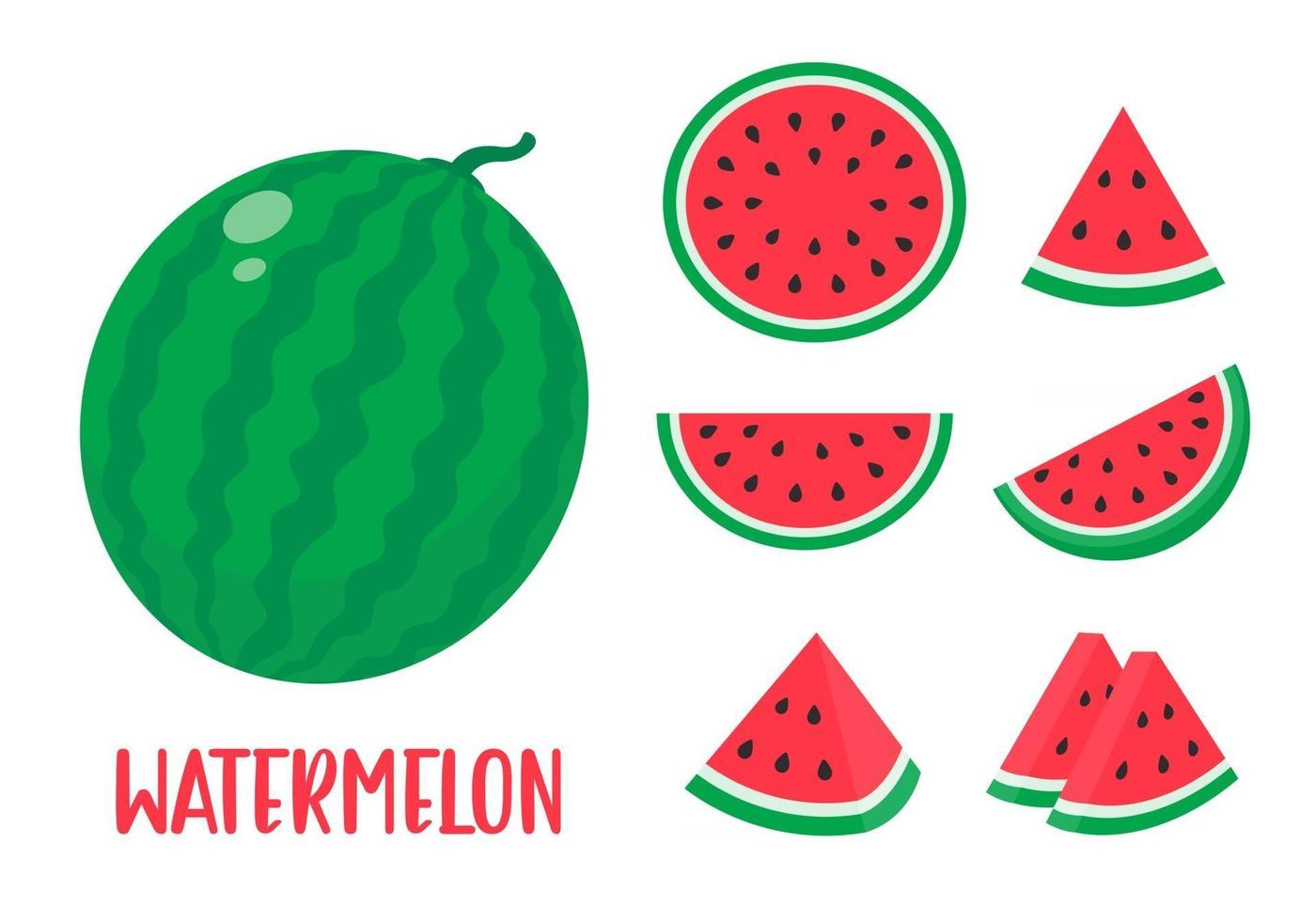 vattenmelon vektor. röd frukt skuren i bitar med frön inuti uppfriskande mat på sommaren vektor