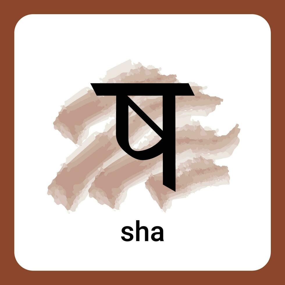 sha - hindi alfabet en tidlös klassisk vektor
