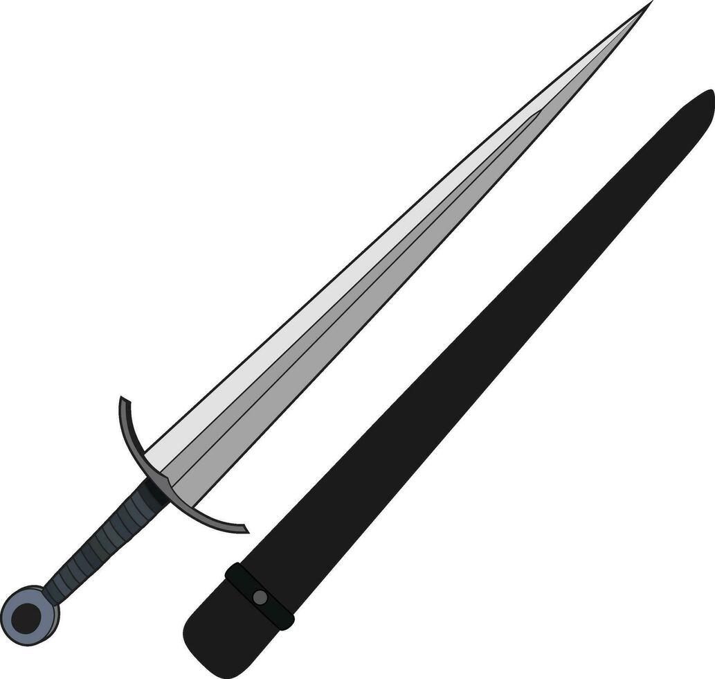 breit Schwert Kung Fu Breitschwert und Scheide Vektor Bild