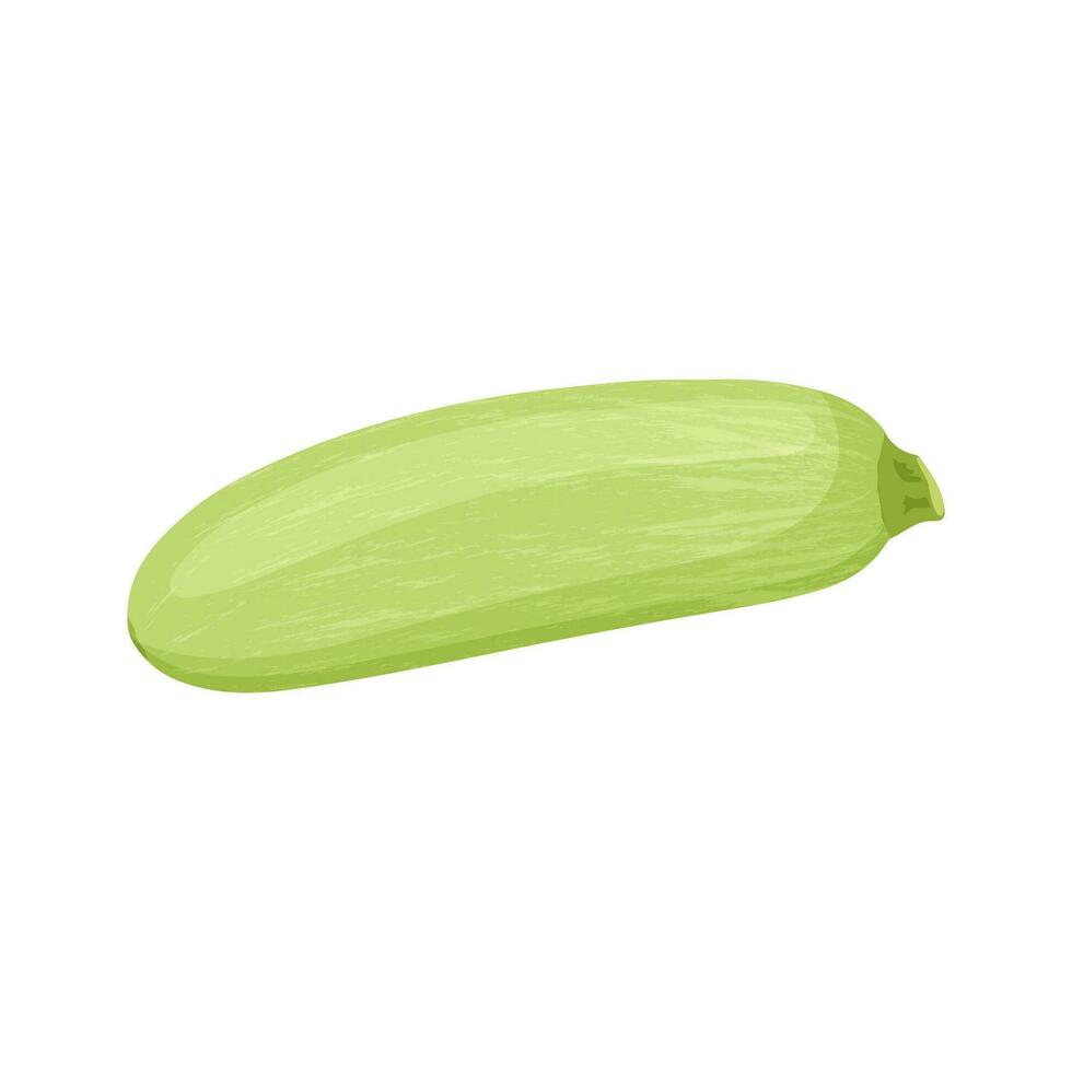 Zucchini Herbst Gemüse, Ernte quetschen auf ein Weiß Hintergrund. Vektor Illustration