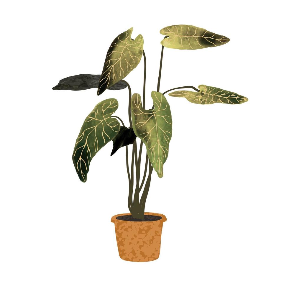 Vektor bunte Illustration der Pflanze im Topf isoliert auf weißem Hintergrund white