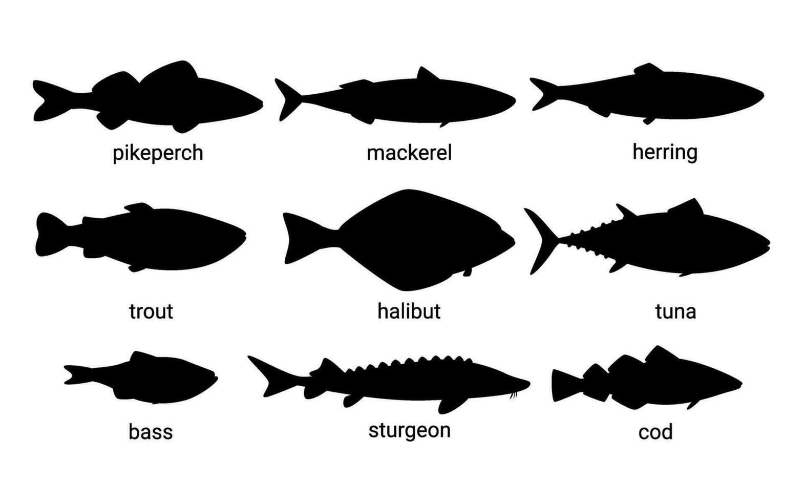 Silhouette Fisch Tier Satz, vermuten schwarz gestalten von Tier. Meeresfrüchte, essbar. Spiel zum Kind. Spezies Marine Fische Forelle, Thunfisch, Makrele, Hering, Pike Barsch, Heilbutt, Bass, Stör Kabeljau Vektor