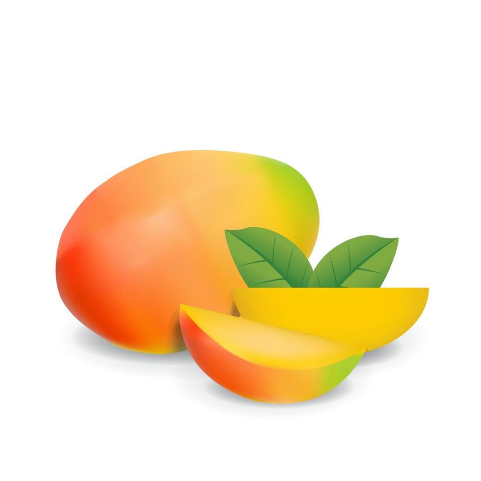 Mango gesundes organisches frisches Obst Sommer isolierte Vektorillustration vektor