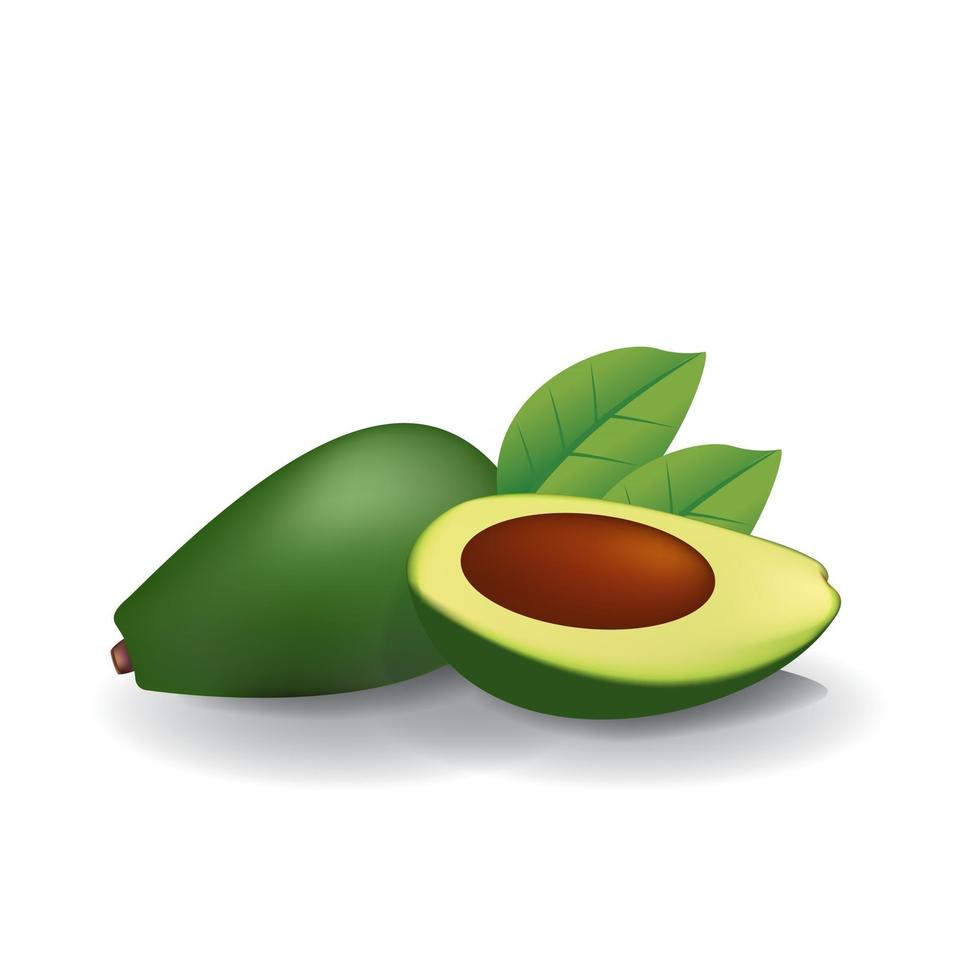 Avocado gesunde organische frische Frucht Sommer isolierte Vektor-Illustration vektor