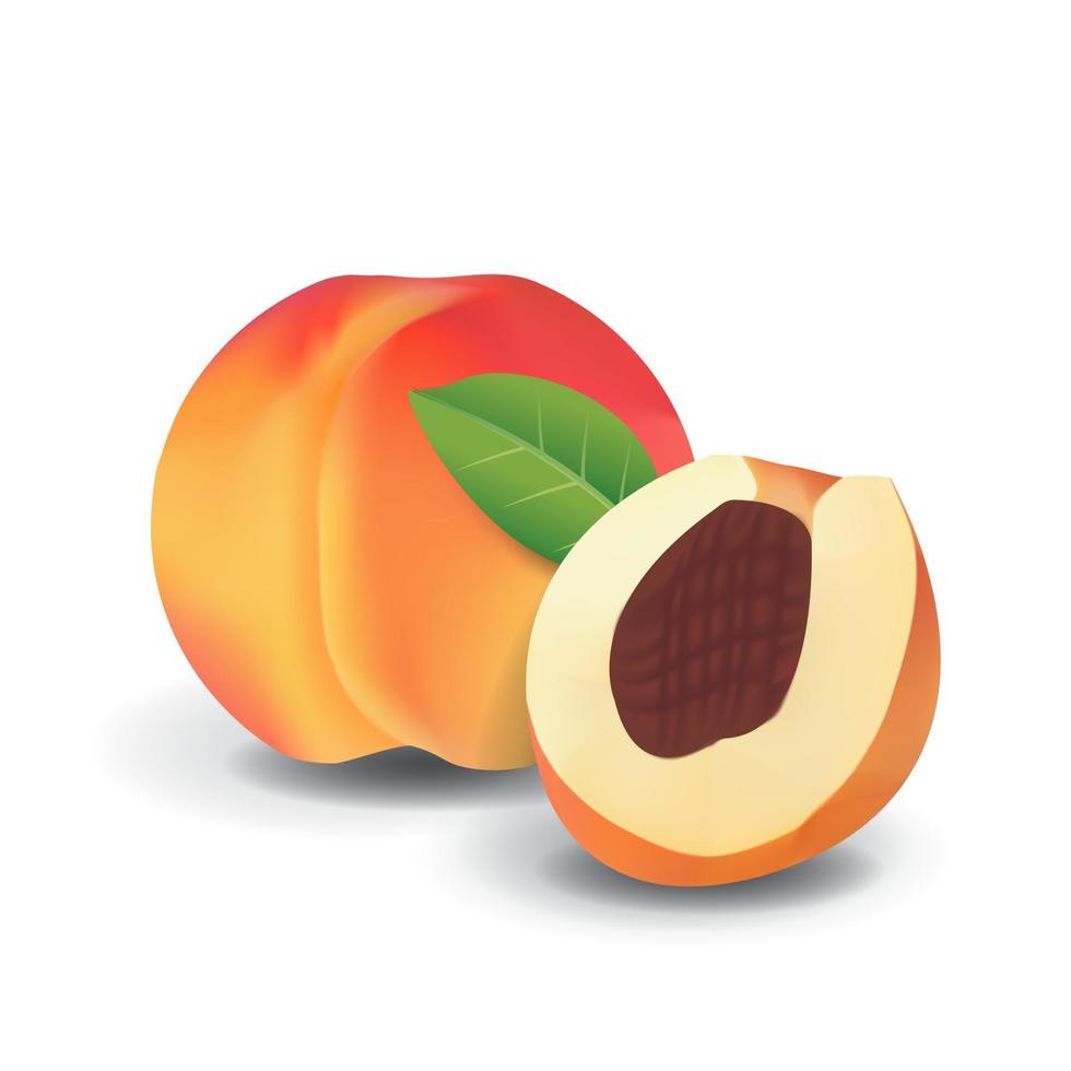 persika hälsosam ekologisk färsk frukt sommar isolerad vektorillustration vektor