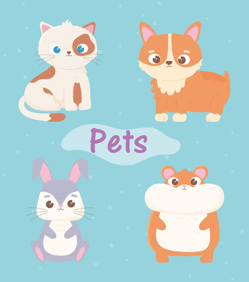 süße Katze Hund Hamster und Kaninchen Haustiere Cartoon-Tiere vektor