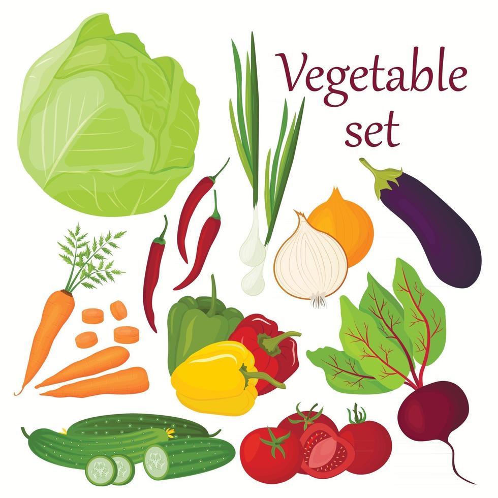 vektor uppsättning grönsaker dras i tecknad stil. en samling jordbruksprodukter för restaurangmenyn, en etikett på marknaden.