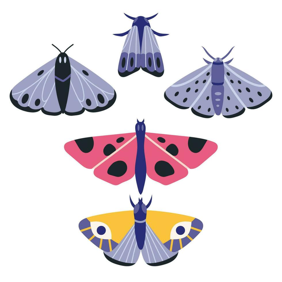 samling av exotisk fjärilar och nattfjärilar, tecknad serie stil. uppsättning flygande insekter med vingar. trendig modern vektor illustration isolerat på vit bakgrund, hand dragen