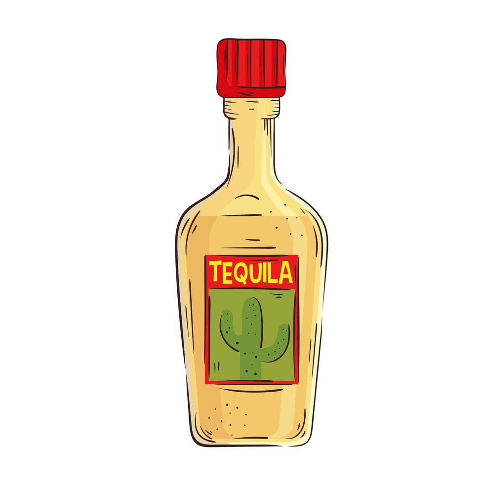 mexikanische Tequila-Flasche vektor