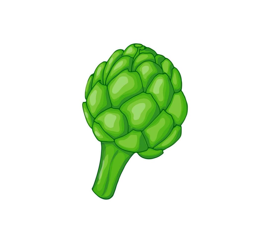 ritad för hand kronärtskocka vektor illustration. grön kronärtskocka knopp vegetabiliska illustration isolerat på vit bakgrund