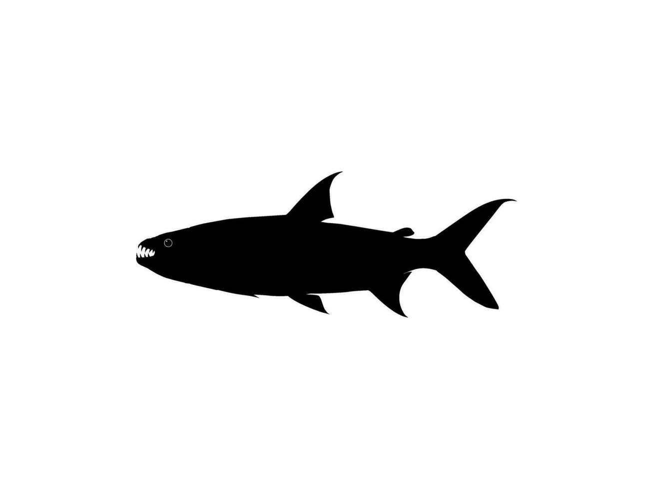 Silhouette von das Hydrozynus Goliath, ebenfalls bekannt wie das Goliath Tigerfisch, Riese Tigerfisch, oder mbenga, ist ein sehr groß afrikanisch räuberisch frisches Wasser Fisch von das Familie Alestidae. Vektor Illustration
