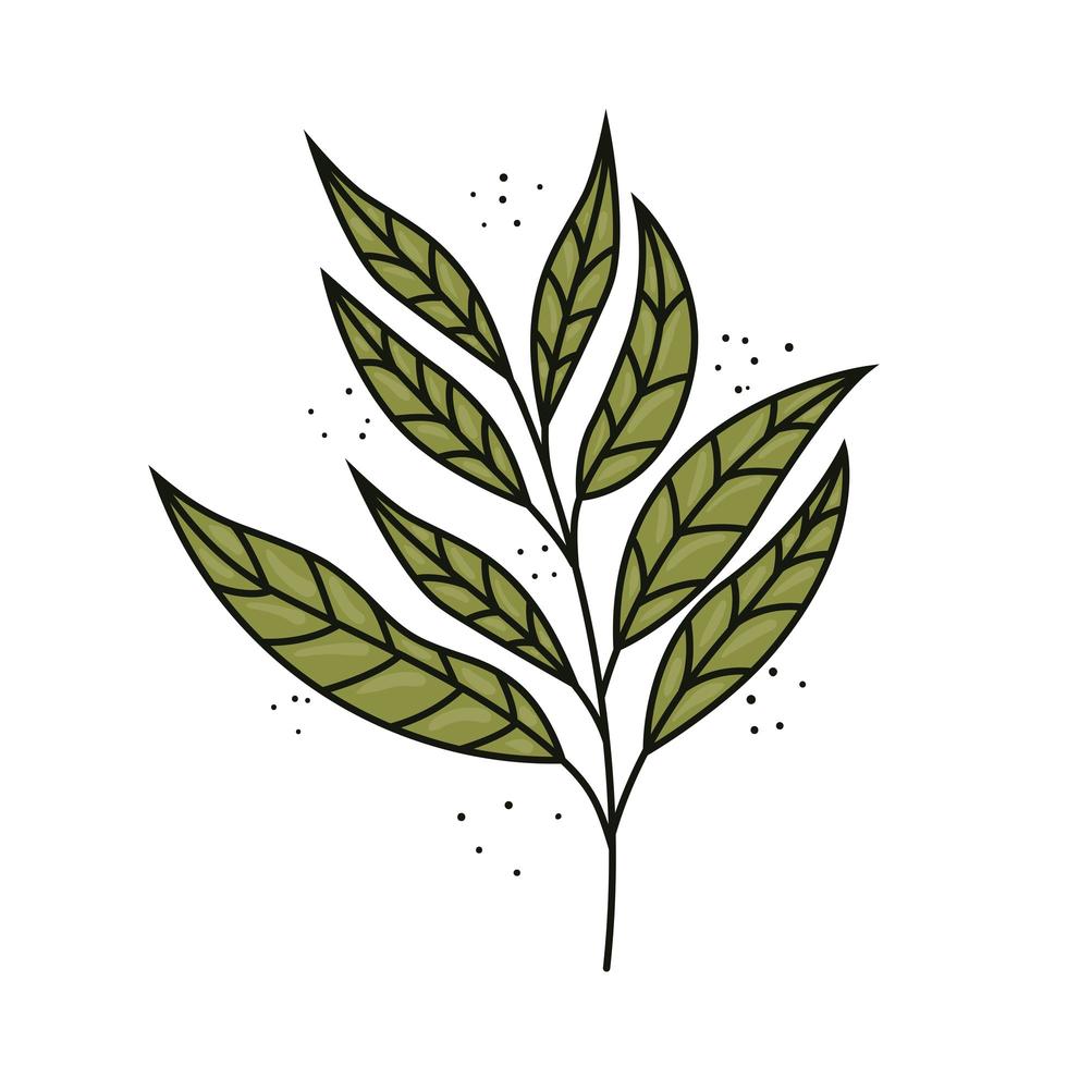 tropisk exotisk gren med blad natur isolerad ikon vektor
