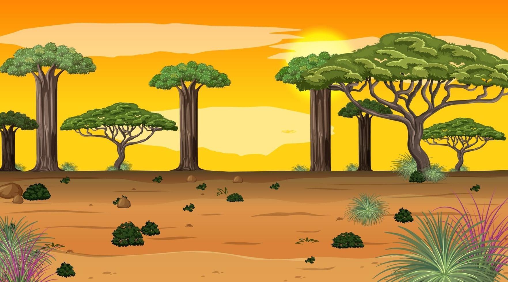 Afrikanische Waldlandschaft bei Sonnenuntergang mit vielen großen Bäumen vektor