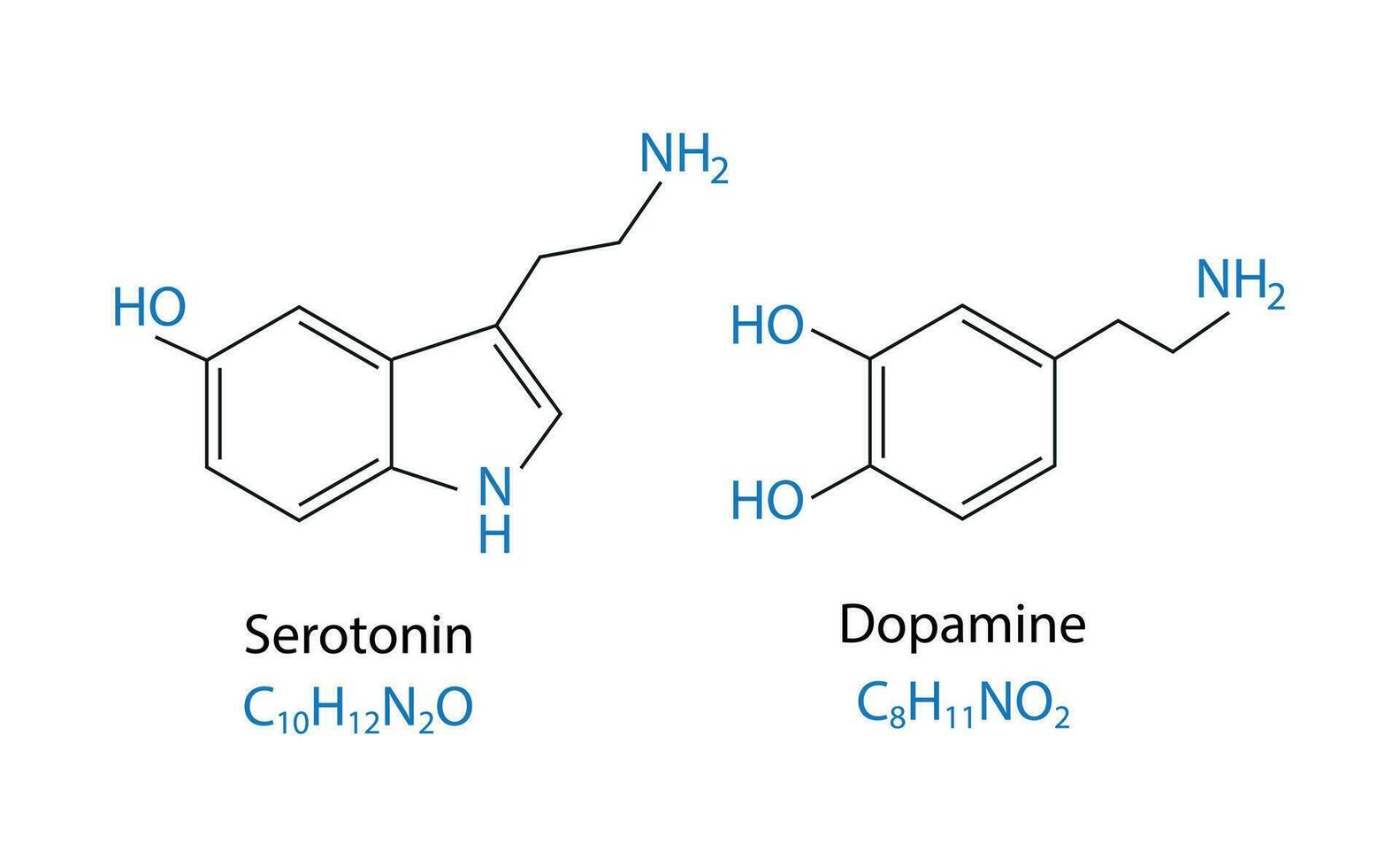 Serotonin und Dopamin chemisch Struktur Skelett- chemisch Formel. Vektor Illustration.
