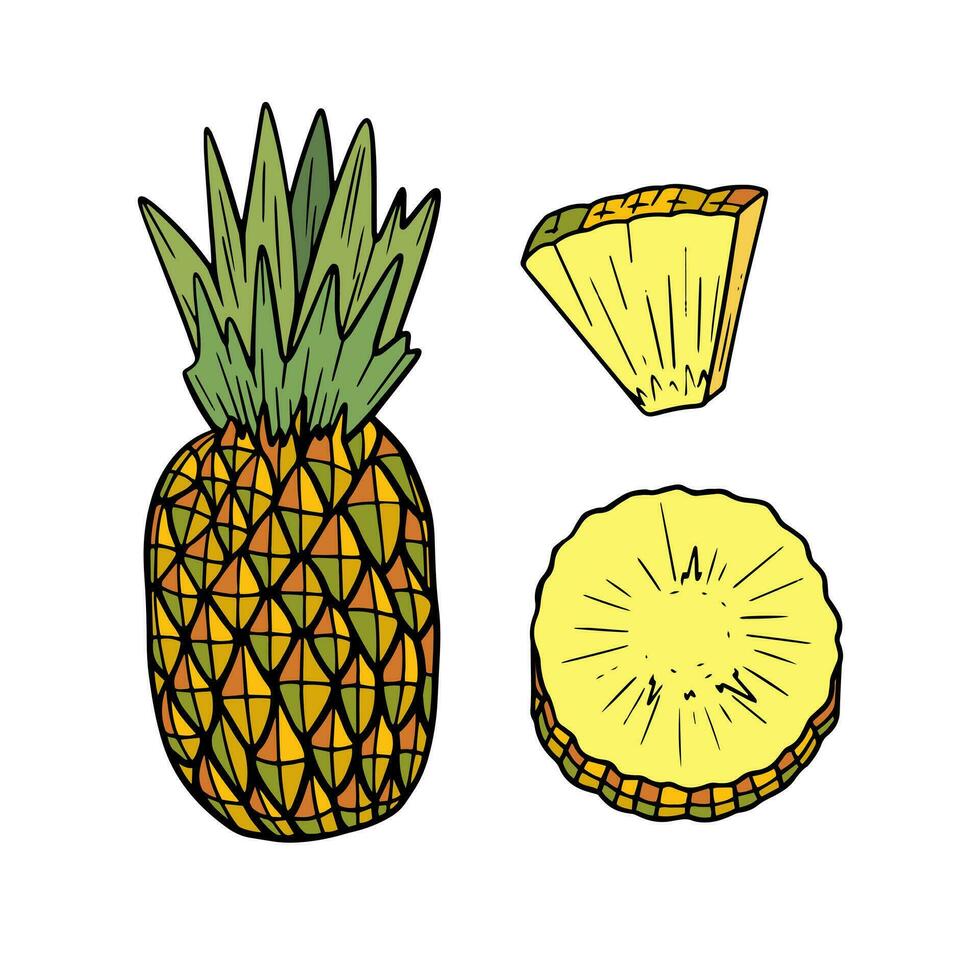 uppsättning av ananas element. illustration av skiva, bit, hela ananas isolerat på vit bakgrund vektor