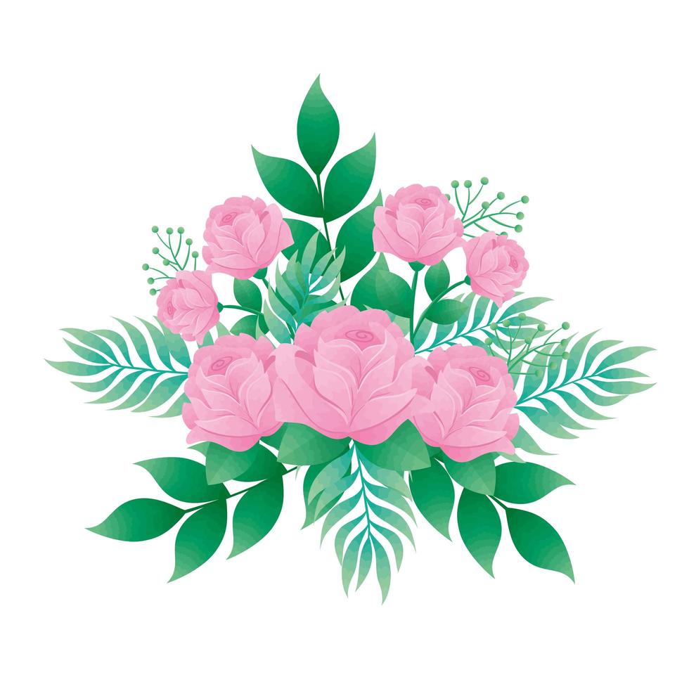 Rosa Farbe Rosen Blumen und Blätter dekoratives Symbol vektor