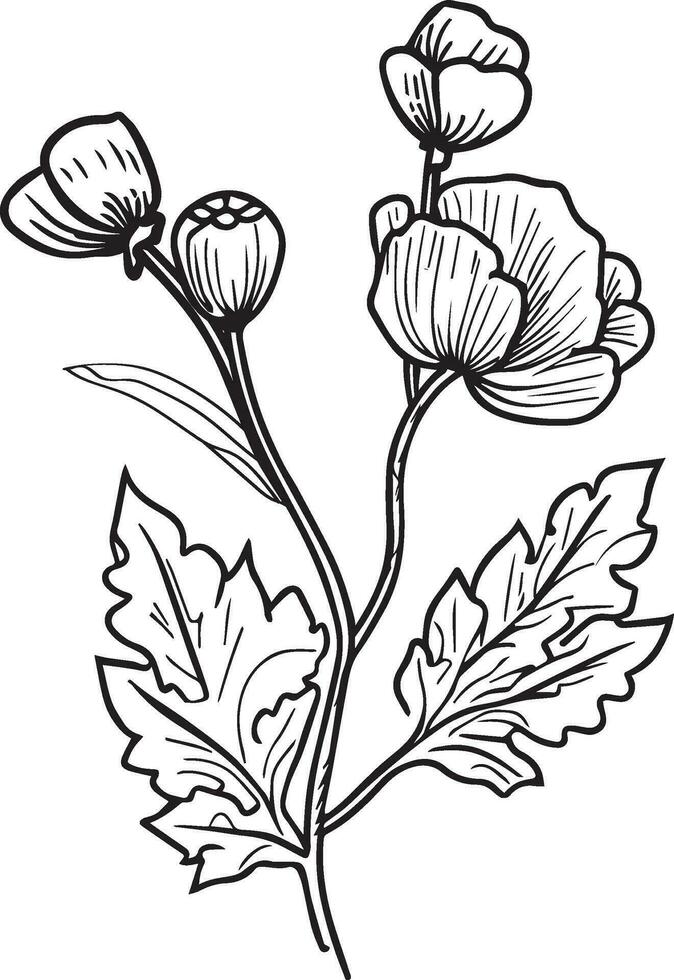 unik blomma färg sidor, ritad för hand vektor illustration av en trädgård mängd av vallmo och översikt illustration, augusti födelse vallmo blommor vägg dekor, vallmo blomma konst skriva ut, penna konst.