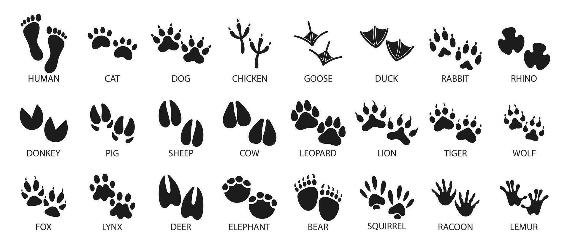 stor uppsättning av fotspår av inhemsk och vild djur. ikoner, skiss, vektor
