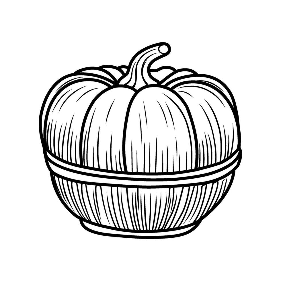 färg sida.pumpa.höst halloween tacksägelse dag färg bok, svart och vit linjär illustration. vektor