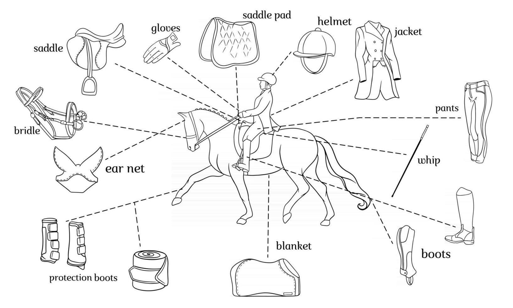 Pferdesport Infografiken Pferdegeschirr und Reiterausrüstung in der Mitte eines Reiters auf einem Pferd vektor