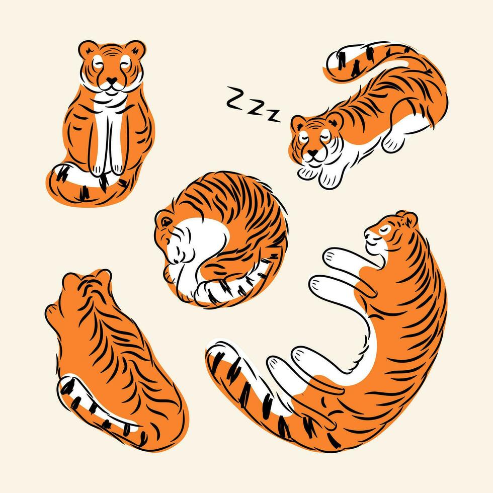 sovande tigrar i olika poser uppsättning vektor illustration