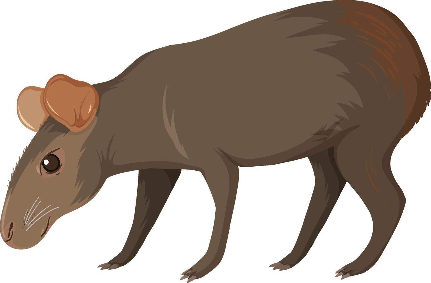 capybara vilda djur på vit bakgrund vektor