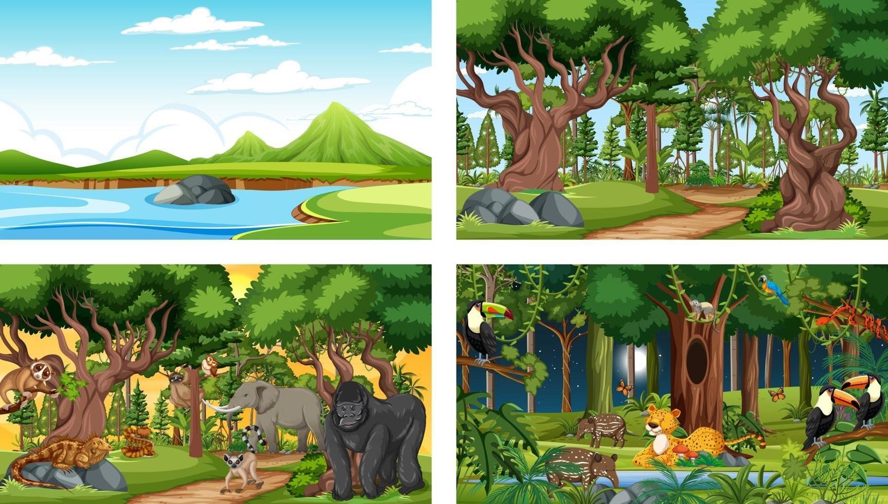 verschiedene Naturszenen von Wald und Regenwald mit wilden Tieren vektor