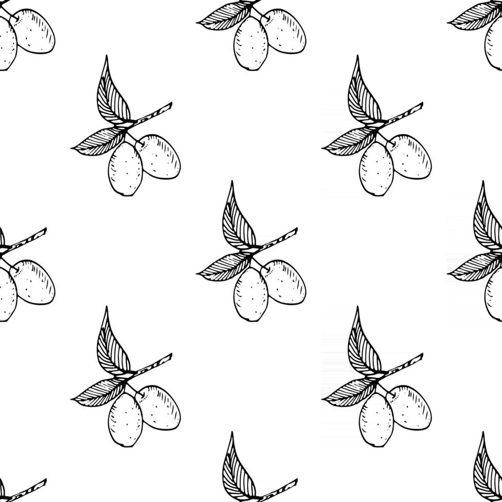 olivkvist sömlösa mönster. naturlig bakgrundsdesign med oliver för olivolja eller kosmetika, vektorillustration vektor