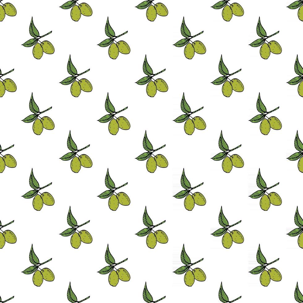 nahtloses Muster des Olivenzweigs. natürliches Hintergrunddesign mit Oliven für Olivenöl oder Kosmetikprodukte, Vektorillustration vektor