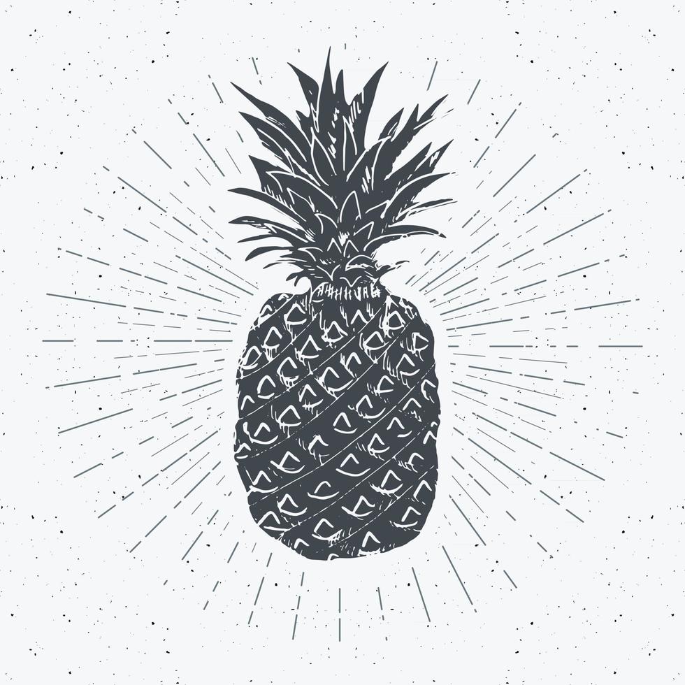Weinleseetikett, handgezeichnete Ananas, strukturierte Retro-Abzeichenschablone des Schmutzes, Typografieentwurfvektorillustration vektor
