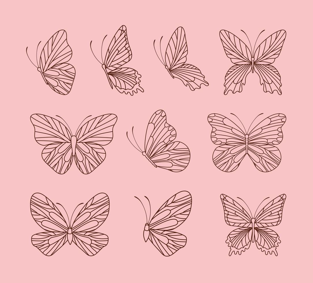süßes Schmetterlingsbündel vektor