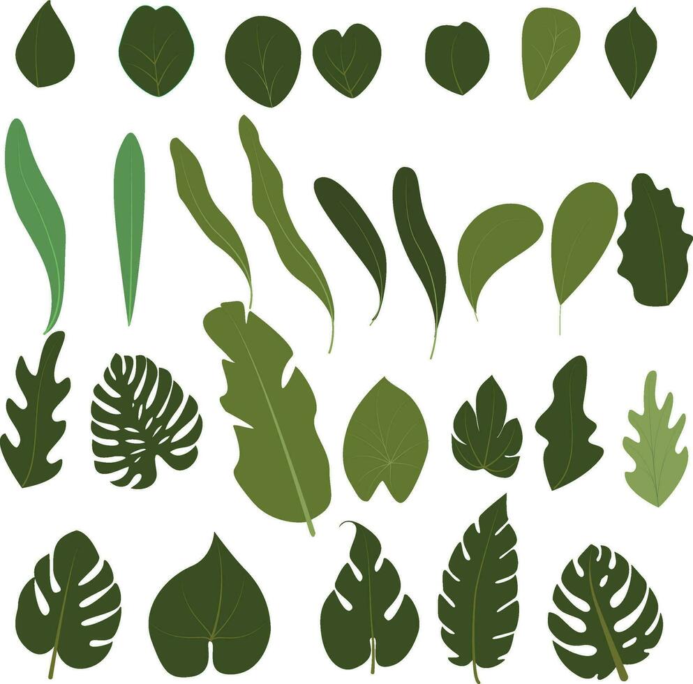 blad gren, hand dra uppsättning element i minimalistisk design illustration fiende dekoration för bröllop eller födelsedag kort vektor