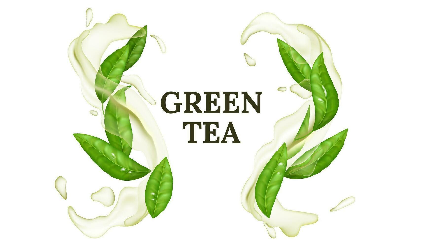 Vektor Illustration von frisch Grün Tee Blatt mit Wasser Spritzen und wirbelnd Bewegung. erfrischend und gesund organisch Getränk mit ein Menthol Aroma. abstrakt und natürlich Design