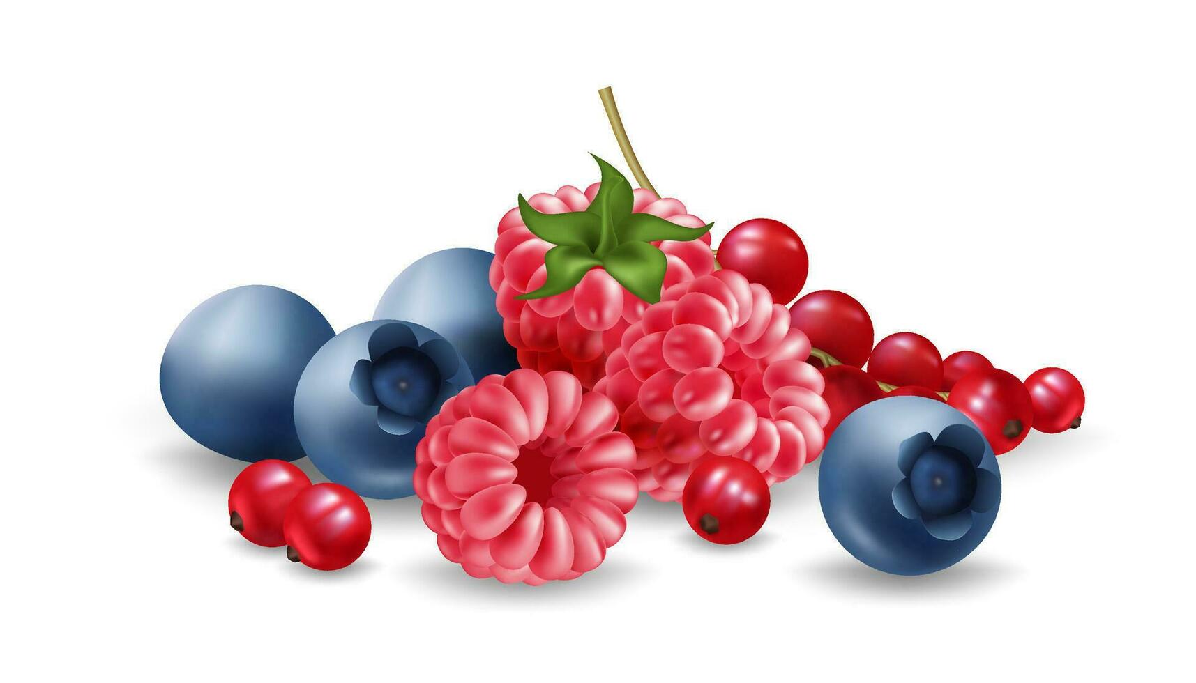 realistisch Vektor Illustration einstellen Eigenschaften ein Gruppe von reif und saftig Beeren, einschließlich Blaubeeren, Himbeeren, Rote Johannisbeere. köstlich Früchte zum irgendein Sommer- thematisch Design