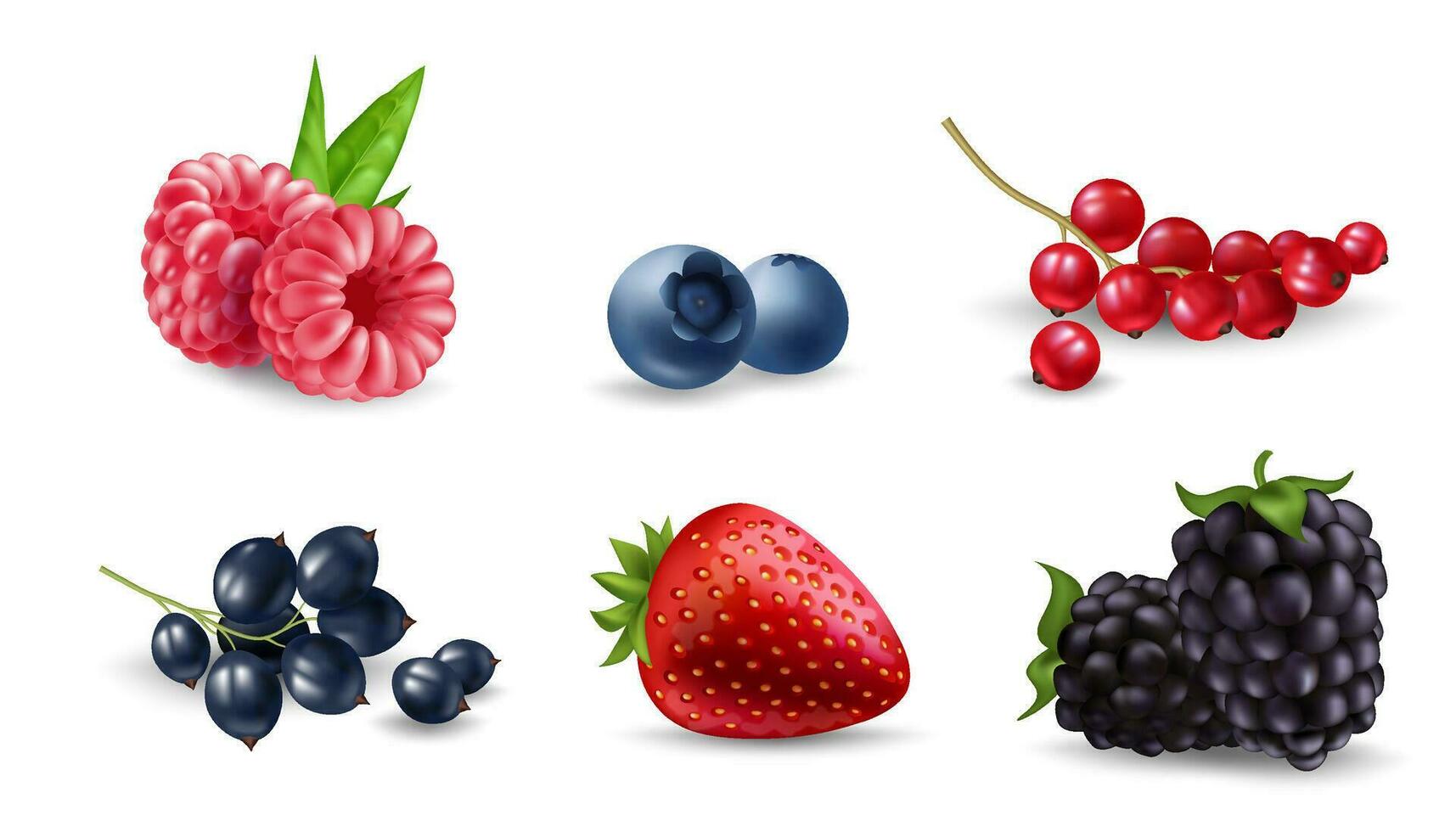 färsk och realistisk bär illustration uppsättning av mogen och saftig blåbär, hallon, björnbär, körsbär, jordgubbe, vinbär, och krusbär. perfekt för mat, hälsa, och natur mönster. vektor