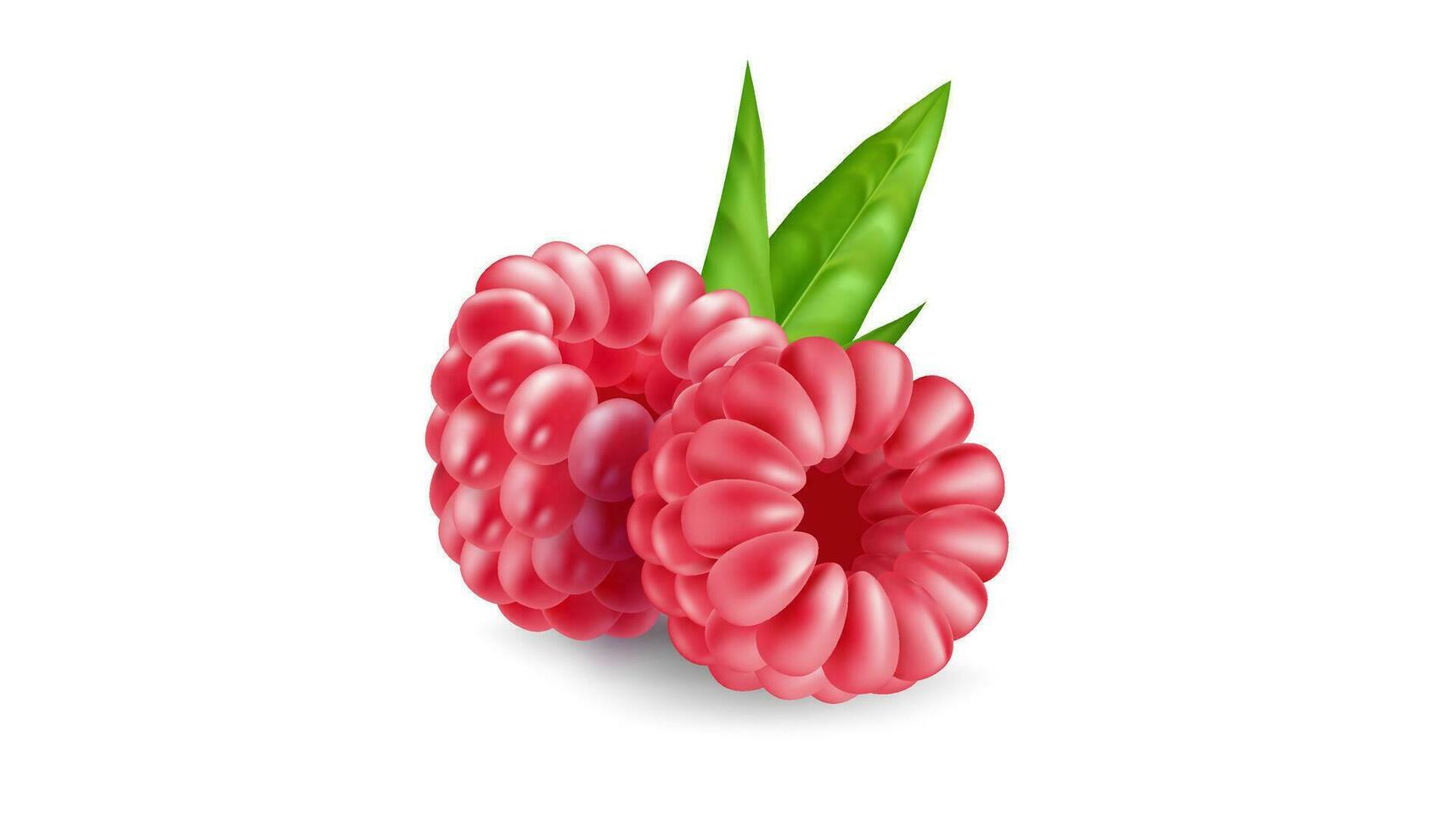 saftig realistisch Beere Sammlung von Himbeeren. frisch und organisch Früchte im 3d Vektor Illustration. perfekt zum Gesundheit und Essen Entwürfe. Haufen von Beeren Nahansicht