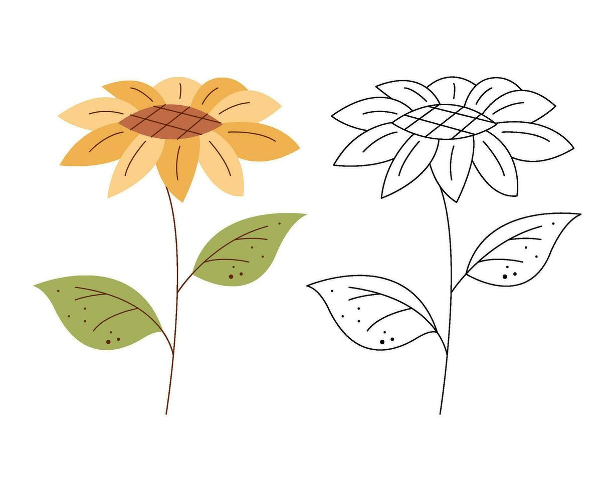 ein klein einstellen mit ein Sonnenblume. schwarz und Weiß und Farbe Clip Art Vektor Illustration.