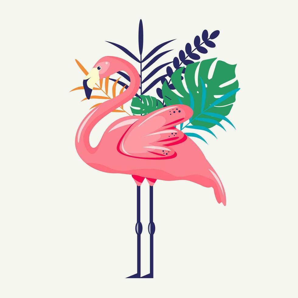 Illustration von ein Flamingo vektor