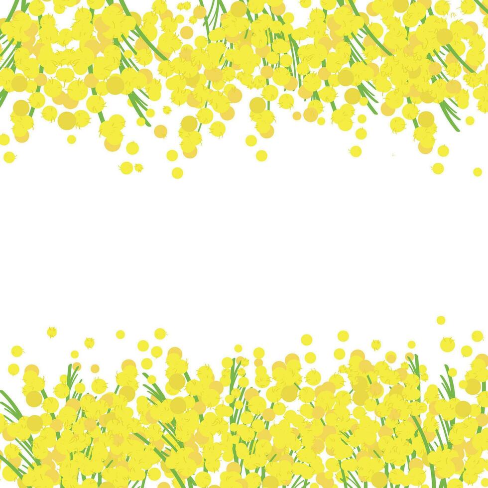 mimosa mall med blommor för text. vektor bakgrund med gul akacia blommor för grattis, vykort, märka, baner, kort. hand dragen festlig bakgrund, design element, dekorativ prydnad