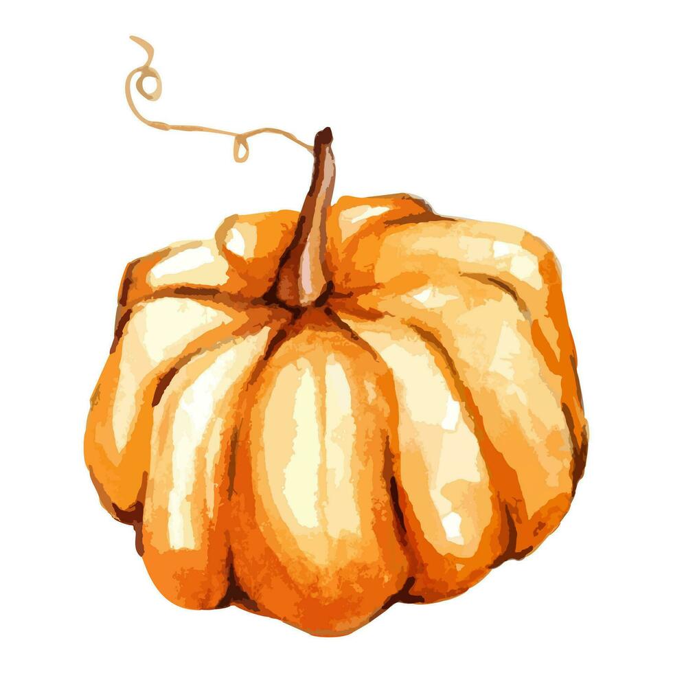 Herbst oder Halloween Gelb Kürbis im Aquarell Stil. fallen und das Erntedankfest Vektor handgemacht Illustration Kunst Ernte Festival.