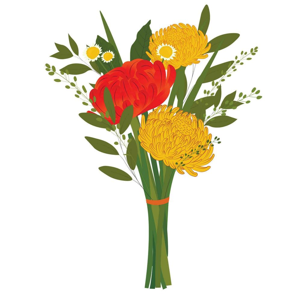 bukett av krysantemum. knoppar av gul pioner. ljus skön blommor. vektor illustration. isolerat på en vit bakgrund.