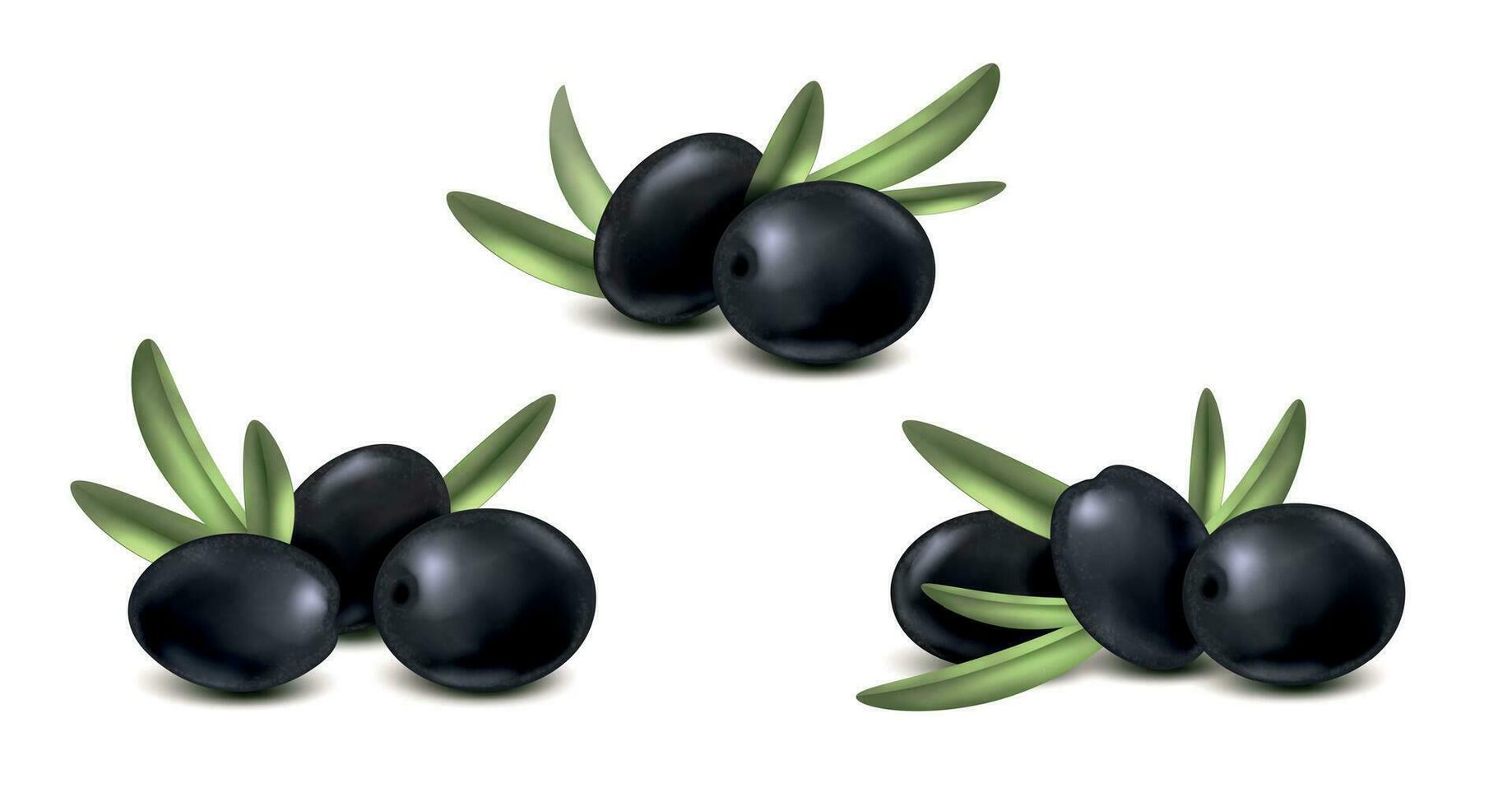 svart oliv realistisk uppsättning vektor